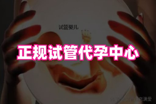 成都助孕网站 2