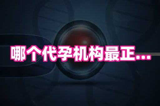 成都助孕网站 3