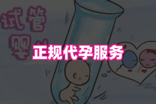 成都助孕网站 4